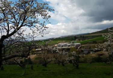 Tour Wandern Saint-Martin-la-Plaine - rando autour de St Martin la plaine,  - Photo