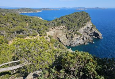 Percorso Marcia Hyères - Hyères - La presqu'île de Giens - Circuit côtier ouest  - Photo