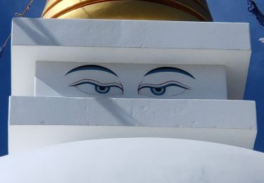 Tocht Stappen Vélez-Málaga - Tour de la Atalaya et Stupa Karmen Guen - Photo