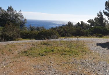 Tour Wandern La Seyne-sur-Mer - Le Cap Sicié, sentier du littoral - Photo