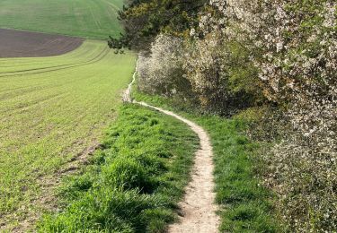 Randonnée Marche Boves - BOVES - Photo