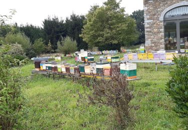 Tour Wandern Manhay - saint antoine - Photo
