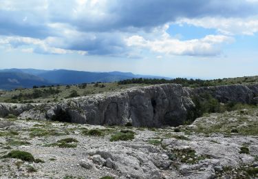 Tocht Stappen Nans-les-Pins - Bau de St. Cassien - Photo