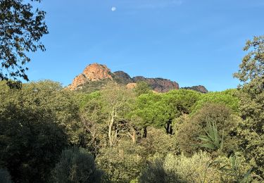 Excursión sport Roquebrune-sur-Argens - Roquebrune  - Photo