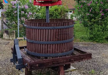 Tour Wandern Sommeval - Sommeval 10 kms - Photo