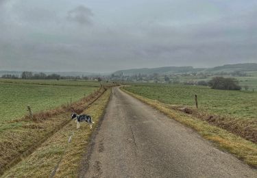 Tour Wandern Nassogne - ADEPS Bande - Photo