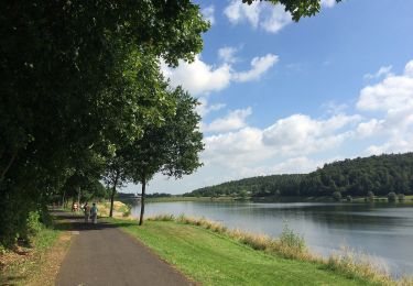 Tour Zu Fuß Bad Arolsen - Bad Arolsen Wanderweg W4 - Photo