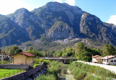 Tocht Te voet Gemona del Friuli - Trail 3 Castelli Ultra - Photo