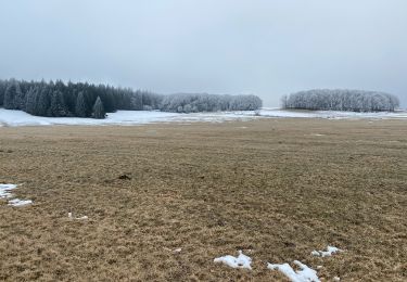 Excursión Senderismo Besse-et-Saint-Anastaise - Anglards Bourdouze  (Besse) - Photo