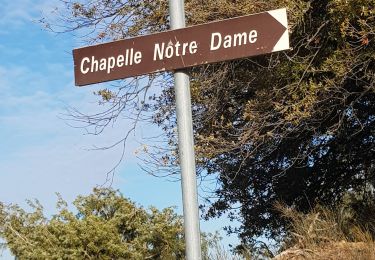 Tour Wandern Baudinard-sur-Verdon - Les Gorges de Baudinard sur Verdon et la Chapelle notre Dame - Photo