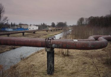 Excursión A pie  - Szlak Olsztyński - Photo