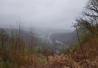Excursión Senderismo Comblain-au-Pont - 2021-04-04_15h31m49_Cirkwi-Autour_de_Comblain-au-Pont_-_Promenade_9___Grotte_-_Raideux_-_Anthisnes_-_Les_Stepennes_-_Géromont - Photo