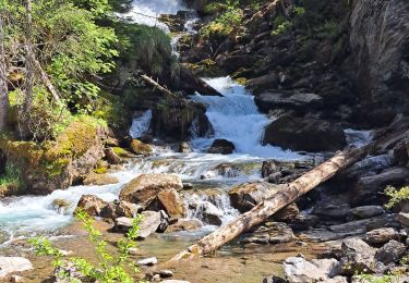 Tour Wandern Montriond - Cascade d'Ardent- Les Lindarets - Photo