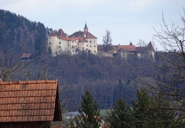 Tocht Te voet Gratwein-Straßengel - Wanderweg 12 - Photo