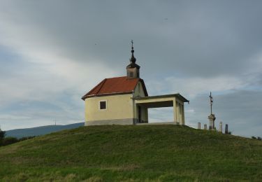 Randonnée A pied Abasár - Sc ( Abasári körút ) - Photo