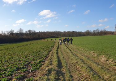 Tocht Stappen Florennes - Balade à Morialmé - Photo