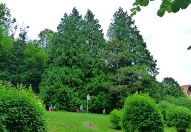 Tour Zu Fuß Gemeinde Reichenau an der Rax - Dörfl - Griesleiten - Photo