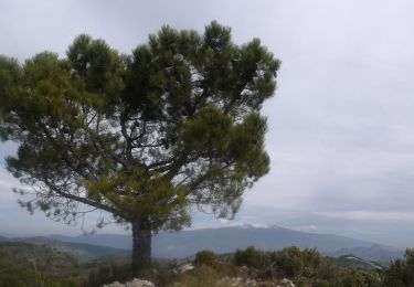 Trail Walking Albuñuelas - Cerro del Pescado  - Photo