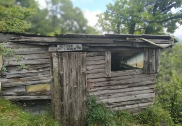 Tocht Stappen Seyssinet-Pariset - Château Borel - Cabane à Laura - Ferme Durand - Mollard Gargot - Pariset et retour par rue de la Scie - Photo