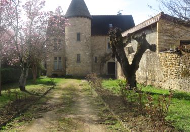Trail Walking Domme - Randonnée du 18/03/2023 à 18:04 - Photo