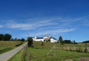Trail Walking Assesse - GG-Na-18_Sart-Bernard - Andenne - Photo