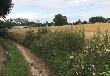 Trail Walking Flavigny-le-Grand-et-Beaurain - Béaurain Puisieux - Photo