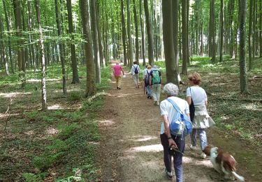 Randonnée Marche Braine-l'Alleud - Paudure_Colipain0720 - Photo