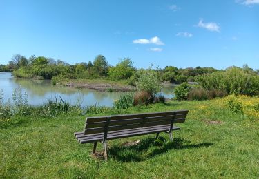 Excursión Senderismo La Rochelle - Les marais de Tasdon  - Photo