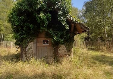 Excursión Senderismo Noisy-le-Grand - bois martin bois celie - Photo