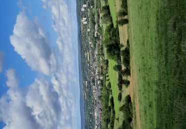 Tour Wandern Wadelincourt - Wadelincourt - Photo