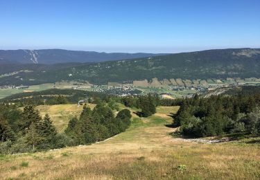 Tocht Stappen Lans-en-Vercors - Vertige des cîmes - Photo