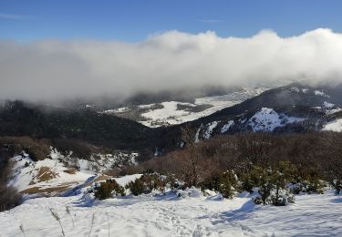 Percorso Racchette da neve Léoncel - Pierre chauve - Photo