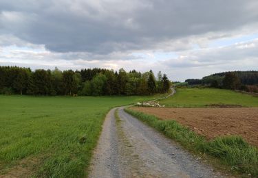 Trail Walking Bouillon - BruBer/Mogimont #1 - Photo