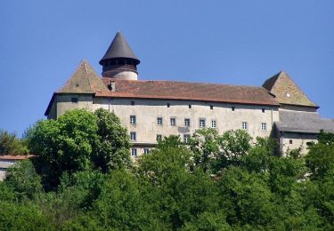 Tour Zu Fuß Neustift im Mühlkreis - Burgherrenweg - Photo