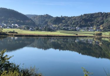 Excursión Senderismo Meerfeld - Meerfelder Maar en Waldsbornkratersee (PVDB ) - Photo