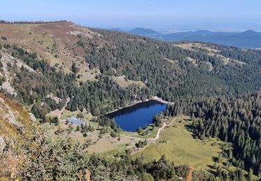 Percorso Marcia Le Bonhomme - Lac des truites - Gazon du Faing - Photo