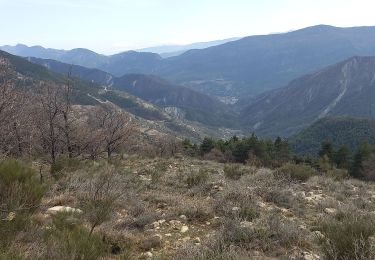 Tour Wandern Saint-Léger - Tete de Pibossan Col de Roua depuis ST Leger - Photo