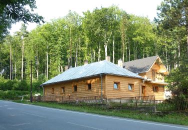 Excursión A pie okres Prešov - Lesný náučný chodník Zabíjaná - Photo