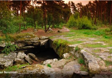 Tocht Stappen Fontainebleau - TMF2 ( Michel ) - Photo