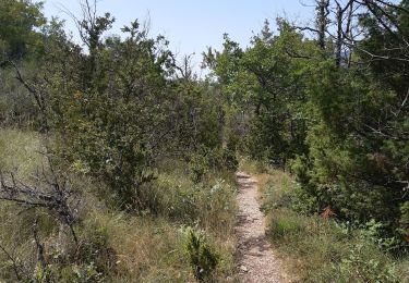 Trail Walking Aiguines - Sentier de l'imbut - Photo