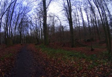 Randonnée V.T.T. Waterloo - VTT de Waterloo à la forêt de Soignes - Photo