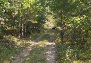 Excursión Senderismo Laval-d'Aix - Boucle de Laval d'Aix par le ravin de Fontourse. - Photo