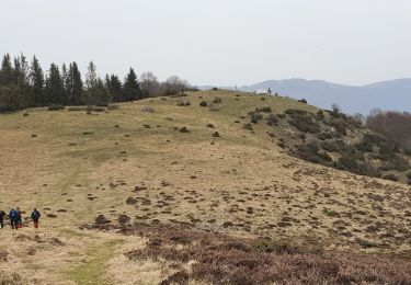 Tocht Stappen Portet-d'Aspet - Le Puech et cabane de Piejeau en boucle - Photo