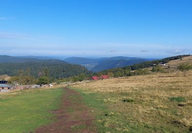 Trail Walking La Bresse - pied du Hohneck - le Kastelbeck - Photo