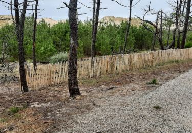 Excursión Senderismo Lacanau - Le long des dunes au sud de Lacanau océan  - Photo