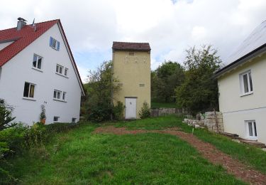 Percorso A piedi Weinstadt - Skulpturenpfad Nuss - Photo