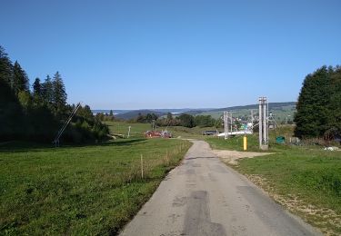 Tour Wandern Métabief - Mont d'Or - Photo