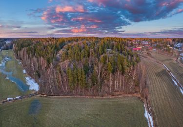 Randonnée A pied Vantaa - Kalkkiruukin luontopolku - Photo