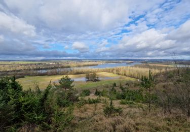 Trail Walking Les Trois Lacs - 20240109-venables - Photo