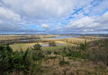 Tour Wandern Les Trois Lacs - 20240109-venables - Photo